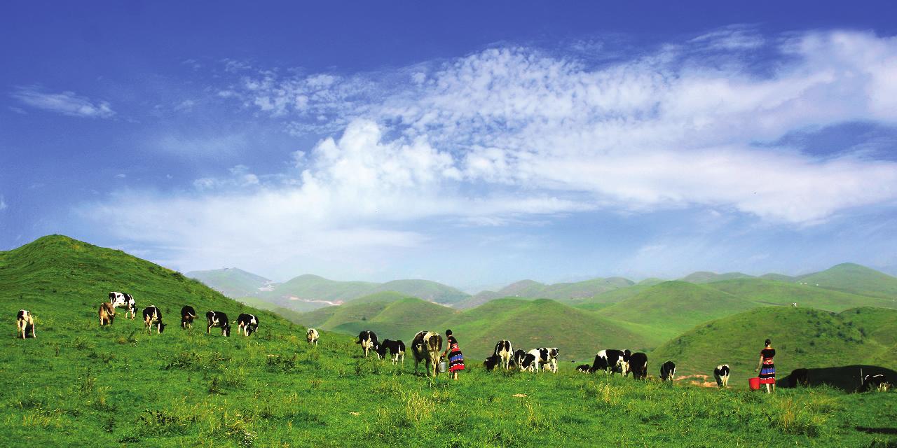 一步之城，萬(wàn)種風(fēng)情 ——《城步苗族自治縣旅游產(chǎn)業(yè)發(fā)展總體規(guī)劃及重點(diǎn)景區(qū)概念性規(guī)劃》